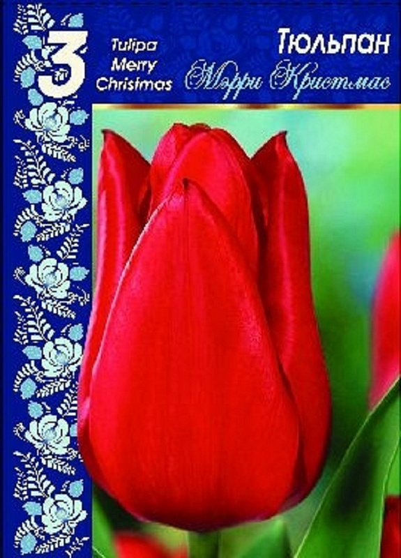 Тюльпан Мери Кристмас 1 уп. (3шт.) 
